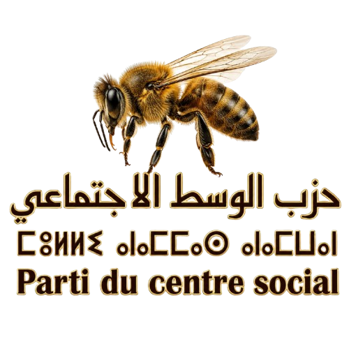 حزب الوسط الاجتماعي